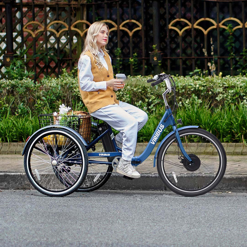 Folding Electric Tricycle Adult  Battery Power