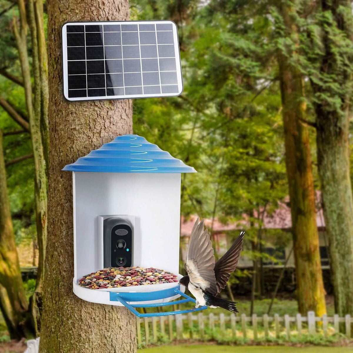 Smart Bird Feeder with Solar HD Camera & AI Detection
