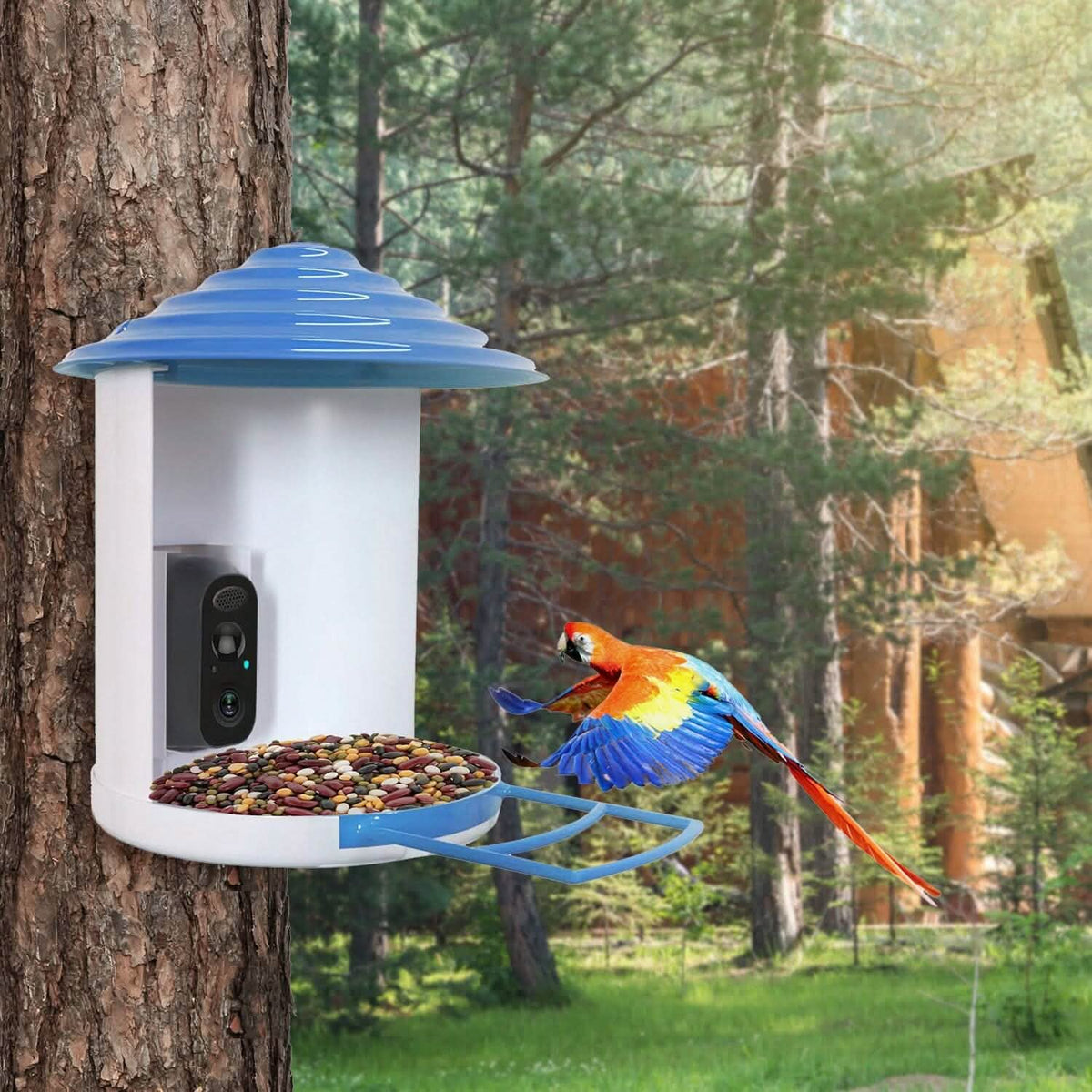 Smart Bird Feeder with Solar HD Camera & AI Detection