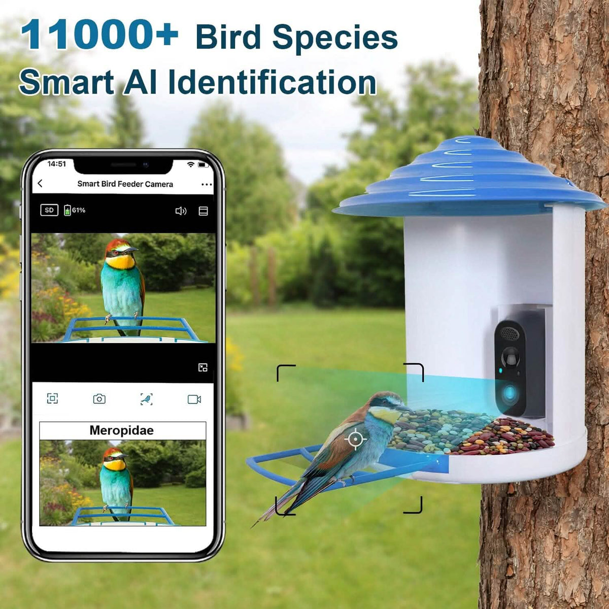 Smart Bird Feeder with Solar HD Camera & AI Detection