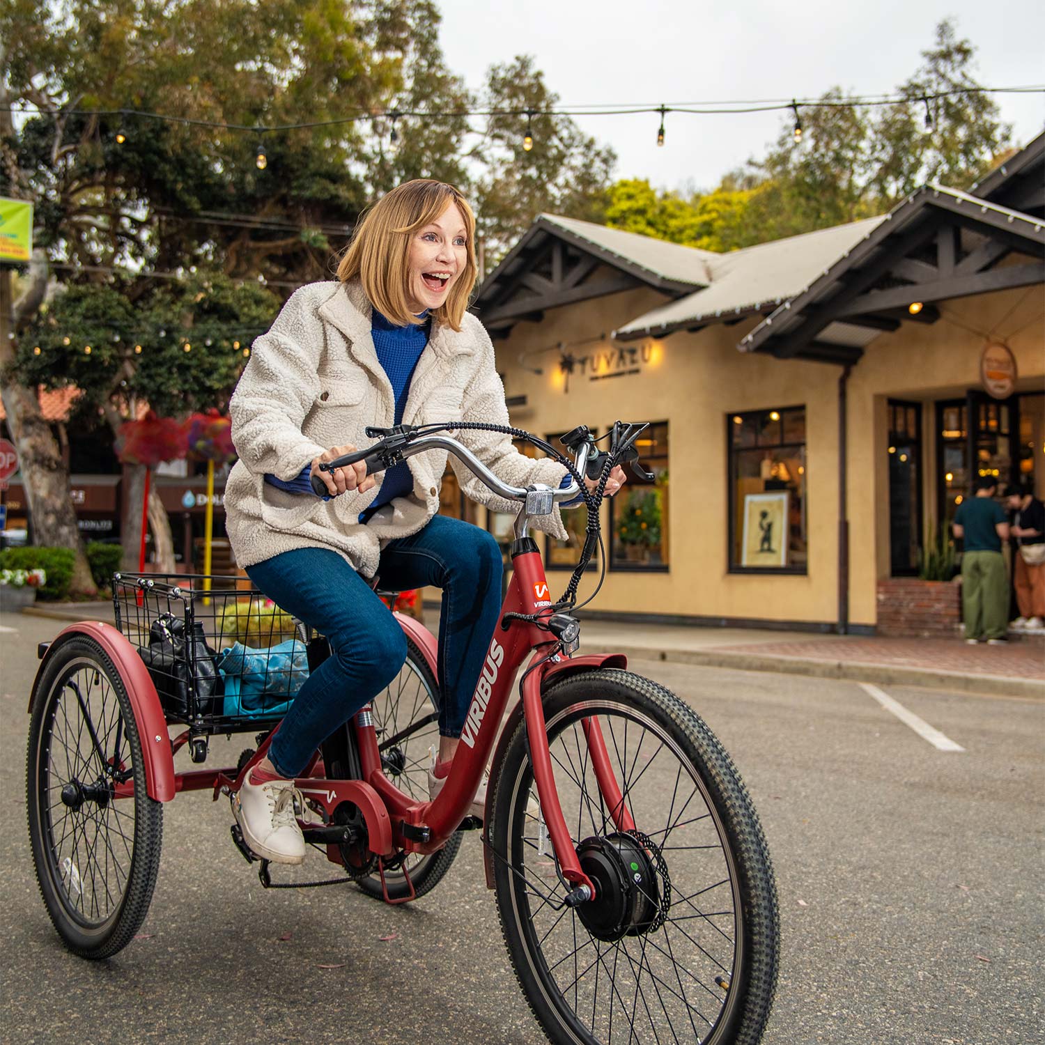 Folding Electric Tricycle Adult  Battery Power